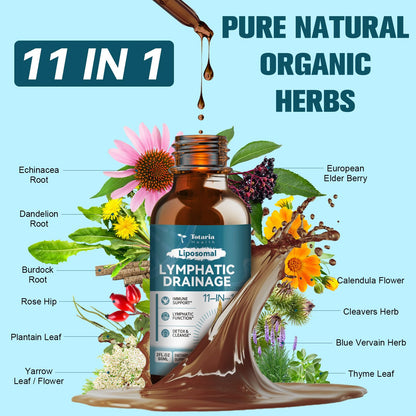 Liposomal Lymphatic Drainage Drops - 11 In 1 Organic Lymphatic Drainage Supplement with Burdock Root, Echinacea, Elderberry, Calendula, Cleavers Herb, Dandelion Supports Lymphatic Health 2 FL.OZ-Shop