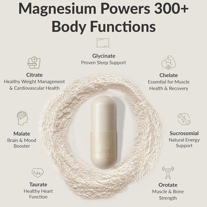 BIOptimizers MassZymes - Complete Digestive Enzymes Supplement for Gut Health - Bloating Relief for Men and Women - Lipase Amylase Bromelain Digestive Enzymes (120 Capsules)-Shop